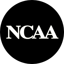 Image result for Champaign 1997 Vector