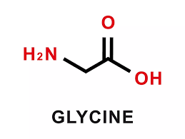 Image result for Glycine