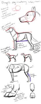 This Is For My Friends And Anyone Who Needs Help With Their Anatomy Art C This Is Not A Sketch For You To Use On Dog Anatomy Dog Sketch Dog Drawing
