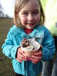 Run Report Event No. 658 and 659