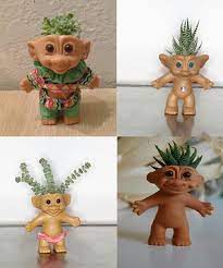 We did not find results for: Troll Succulents