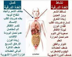 الغدة الدرقية Health Fitness Health Medicine