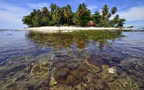 Hasil gambar untuk Kawasan Konservasi Perairan, Pesisir dan Pulau-pulau Kecil: Paradigma, Perkembangan dan Pengelolaannya