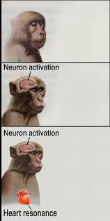 Meme Challenge ** **(Meme Templates tôi sẽ để ở phần comment)**