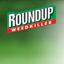 How quickly does roundup work? How Long Does It Take Roundup To Work Youtube