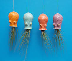 Grosse Octopus Air Plant Aufhanger Octopus Garten Mit Bildern Luftpflanzen Aufhangen Pflanzenhalter