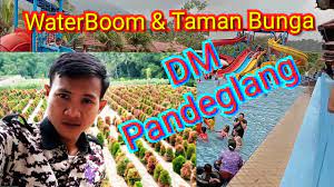 Yaitu kolam renang dm pandeglang yang berlokasi di kampung dema. Dm Waterboom Yang Punya Taman Bunga Labirin Spot Foto Untuk Keluarga Youtube
