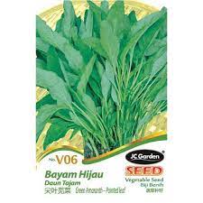 Bayam sebagai sayur hanya umum dikenal di asia timur dan asia tenggara, sehingga disebut dalam bahasa inggris sebagai chinese amaranth. Jc Garden V06 Vegetable Seed Green Amaranth Pointed Leaf Bayam Hijau Daun Tajam Biji Benih Sayur Sayuran