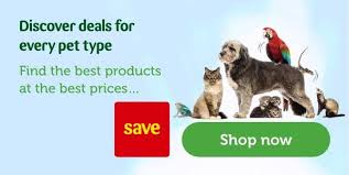 There are many dog puzzle toys that include feeding functionality, and here are 6 of our favorite ones. Brain Games Puzzles For Dogs Boredom Busters Pets At Home