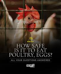 In most cases it concerns highly pathogenic avian influenza (hpai) of below is an overview of previous bird flu infections on commercial poultry farms in the netherlands in 2020/2021. Bird Flu Here S All You Need To Know About It