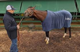 We did not find results for: Battle Of The Sexes May Be Brewing In Belmont Stakes