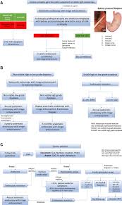 It's very important to know them, in order to detect them as soon as possible. British Society Of Gastroenterology Guidelines On The Diagnosis And Management Of Patients At Risk Of Gastric Adenocarcinoma Gut