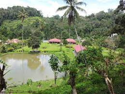 Ride janda baik jumpa supercup. Homestay In Malaysia Inap Desa Rumah Bonda Homestay Janda Baik