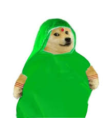 The picture is usually posted with internal monologues of what the dog feels about humans and her pet parents. Doge In Green Saree Meme Templates House