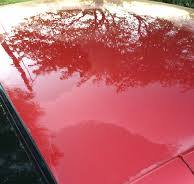 Wet Sanding Clearcoat | Auto Geek Online Auto Detailing Forum