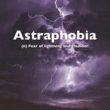 Depending on the form and material, metal roofing can run anywhere from $75 to $1,000 and more per square.a square, as mentioned above, is a measurement that equals 100 square feet. Astraphobia Fear Of Lightning Thunder Phobia Words Uncommon Words Fear Quotes