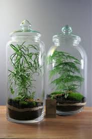 I Want To Try This Jardinage En Pots Jardin Bocal Idees Terrariums