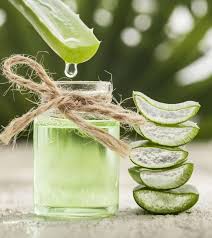 Aloe vera gehört zu den hochwirksamen naturprodukten, die als reine naturkosmetik kunden auf der ganzen welt begeistern. 14 Health Benefits Of Drinking Aloe Vera Juice