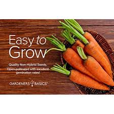 Received a high overall score in the 2005 oregon state university trials. Carrot Seeds For Planting Scarlet Nantes Daucus Carota