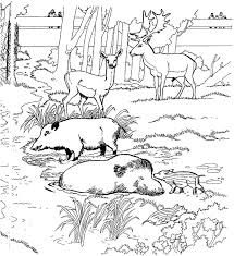 Hirsch Reh Ausmalbilder Malvorlagen Animierte Bilder Gifs Animationen Cliparts 100 Kostenlos