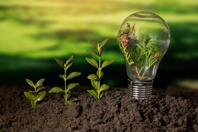 Día Mundial del Ahorro de Energía: ¿Por qué ahorrar energía y cómo lograrlo  en casa? | Imp | FAMILIA | TROME.COM