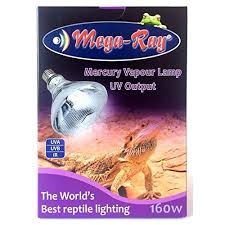 The 17 Best Reptile Uvb Light Bulbs Reviews Beginner S Guide 2019