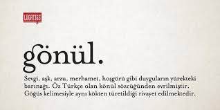 Erguvan Efsa Goz Gormeyince Gonule Agir Geliyor Bir Sozleri Ilham Verici Alintilar Alintilar