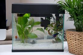 Jual aquarium bulat unik di harga terbaru 2020. Ukuran Aquarium Mini Kumpulan Materi Pelajaran Dan Contoh Soal 3