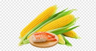 We did not find results for: Teh Jagung Jagung Rebus Jagung Sup Jagung Manis Jagung Dan Lobster Makanan Hewan Resep Png Pngwing