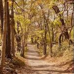 Transition to Winter Walk