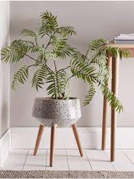 How to plant an indoor plant in a pot? Pin On Rooms