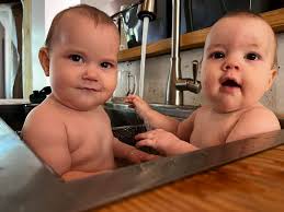 Does anyone have pictures or information about "west strand beauty" or  "west strand Danny" dahlias?