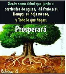 Pin By Iliaginaris On Frases De El Eterno Christian Posters Jesus Te Amo