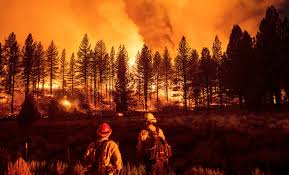 Jun 17, 2021 · the number of new wildfires in the u.s. The Covid Wildfire Link The Oregon Bootleg Fire Bodes Ill For Our Post Pandemic Wild Spaces