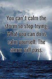 Inspirational Life Quotes Positive Thoughts You Can T Calm When Storm Calm Yourself Boom Sumo