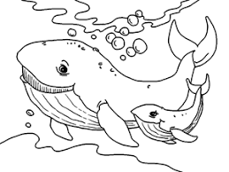 Free Printable Sea Animals Coloring Book For Kids Whale Coloring Pages Animal Coloring Pages Dolphin Coloring Pages