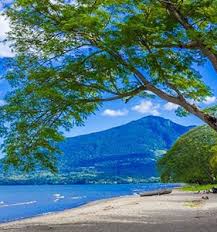 Lake martin realty can help you enjoy this amazing place, whether you're looking to purchase a home or just rent one. Vacation Rentals By Owner Home Away Vacation Rentals No Booking Fee Service Fee