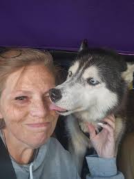 UPDATE ON KODA (ABANDONED HUSKEY)