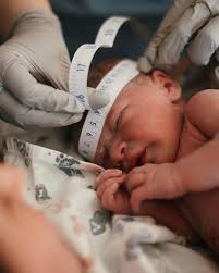 J. Mertz Photography