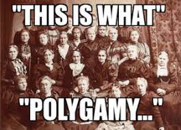 25 Best Black Polygamy Memes Polygamy Meme Memes The Memes Reasons Memes