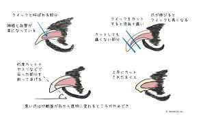 the WOOF イヌメディア