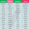Contoh kalimat irregular singular nouns. 1