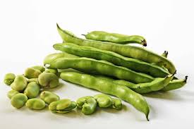 Image result for fava