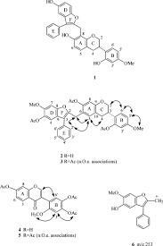 Image result for Dalbergia nitidula