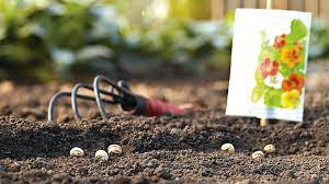 How do you grow flowers from seeds. How To Sow Seeds Outdoors Garden Gate
