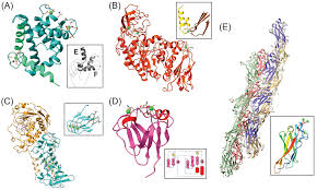 Unveiling the Secrets of Calcium-Dependent Proteins in Plant  Growth-Promoting Rhizobacteria: An Abundance of Discoveries Awaits