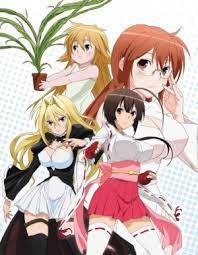 Sekirei (Anime) – aniSearch.de