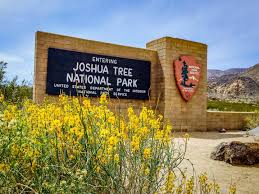 #3 of 3 hotels in joshua tree. A Fascinating Day Of Discovery In Joshua Tree National Park Daytripper Tours
