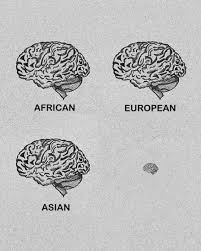 Check spelling or type a new query. Small Brain Big Brain Meme Template Novocom Top