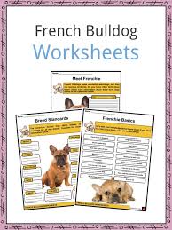 Looking for a dog breeder in columbus ohio? French Bulldog Facts Worksheets History Apperance For Kids